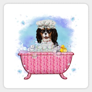 Tri-Colored Cavalier King Charles Spaniel in a Bath Tub Magnet